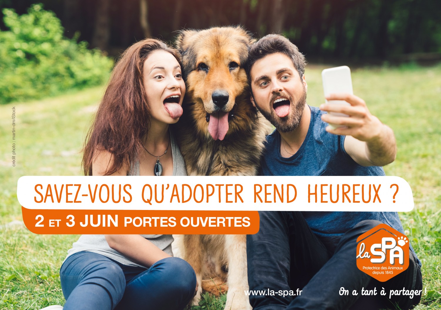 Millau - MILLAU - AVEYRON - JOURNÉES PORTES OUVERTES LES 2 ET 3 JUIN 2018 AU REFUGE DE MILLAU DE LA SPA