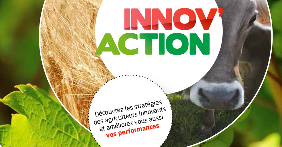 Tarn et garonne - TARN-ET-GARONNE - Innov'Action 2018 : Les Chambres d’agriculture d’Occitanie cultivent l’innovation