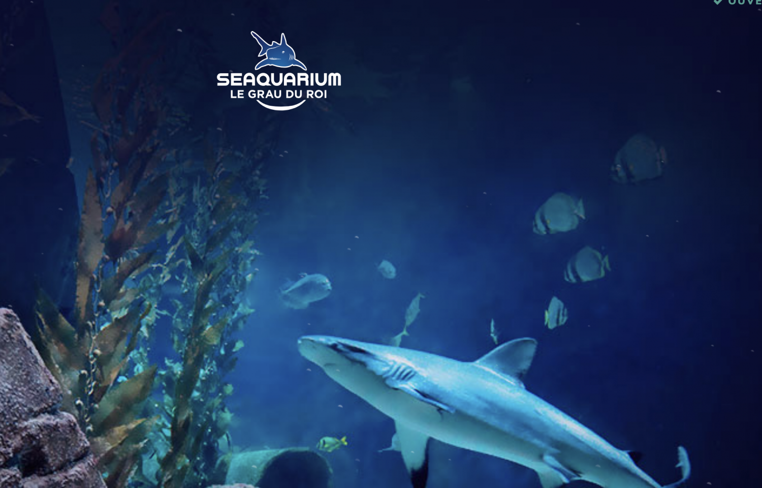Le Grau du Roi - LE GRAU DU ROI - Le Seaquarium fête ses 30 ans !