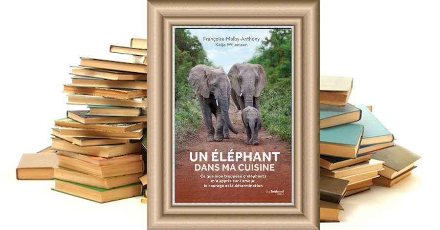 Un Éléphant dans ma cuisine -  Françoise MALBY-ANTHONY, Katja WILLEMSEN