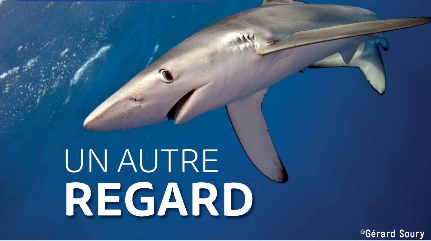 Port Camargue - LE GRAU DU ROI - Deux événements à venir Institut Marin et Seaquarium le 3 JUILLET 2019
