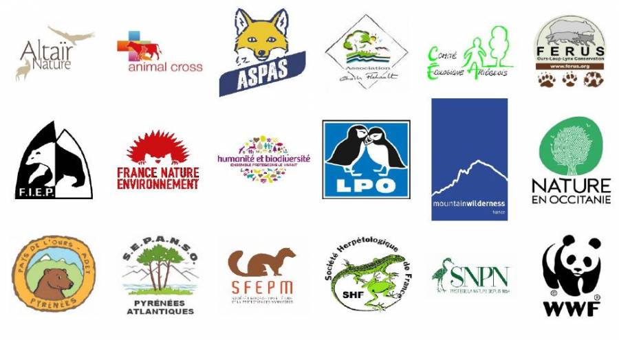 Ariège - Ours abattu : 20 associations déposent plainte et exigent son remplacement immédiat