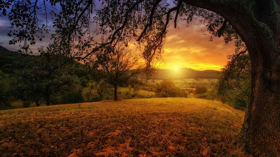 Occitanie - La Région saluée par le Haut Conseil pour : « Occitanie 2040 »