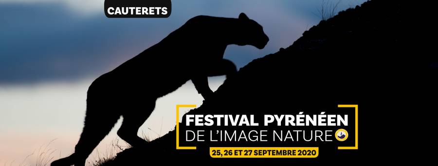 Hautes-Pyrénées - 6ème édition du Festival pyrénéen de l'image nature 25/27 septembre - Cauterets (Hautes-Pyrénées)