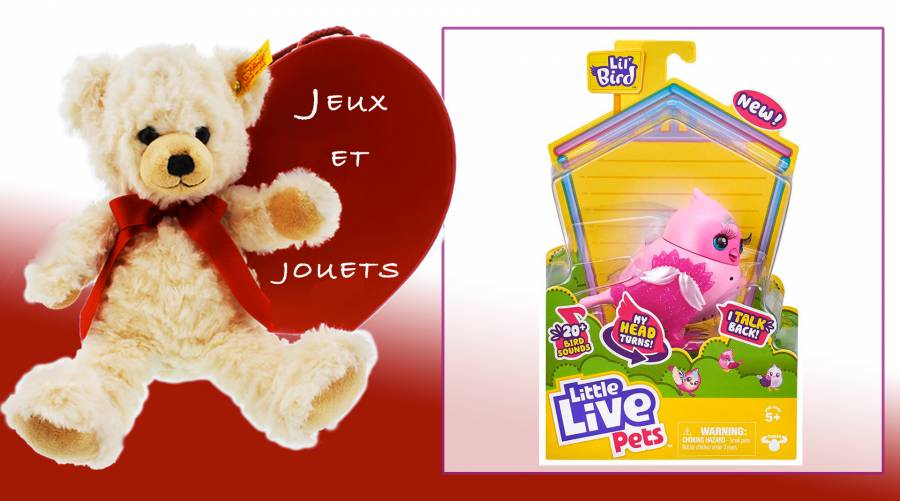 Little Live Pets - L'oiseau, un véritable compagnon à adopter !