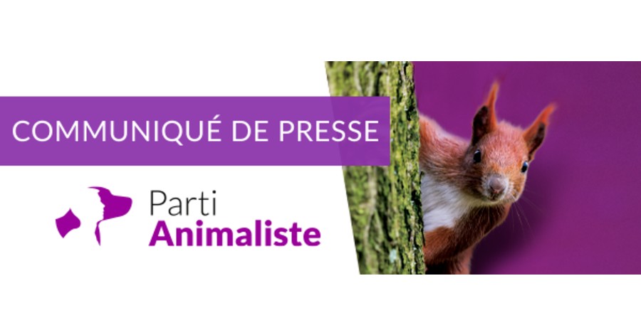 Montpellier - Des chasseurs prennent violemment à partie l'élu animaliste sur les réseaux sociaux.