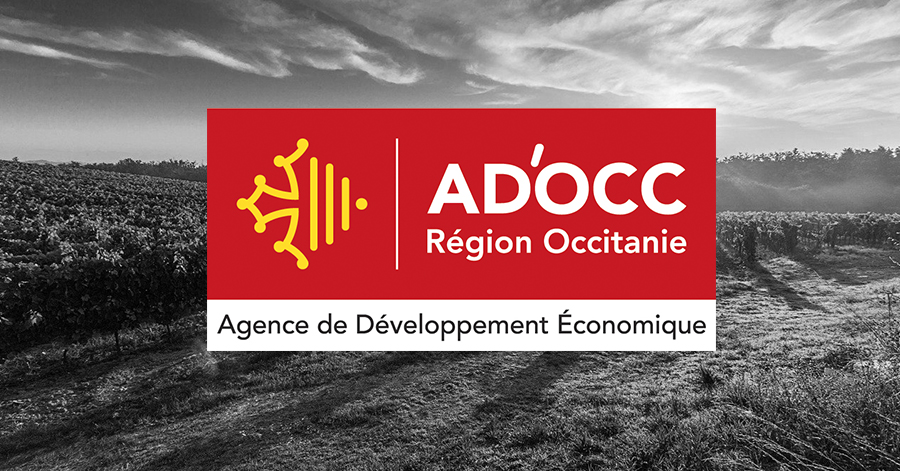 Occitanie - Le 4 février 2021, découvrez les entreprises qui innovent en Occitanie !