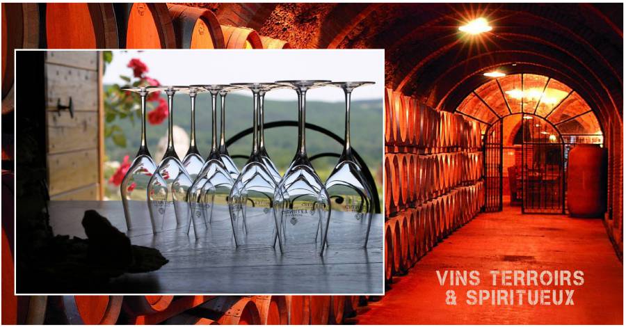Cap sur l'oenotourisme : vivez une expérience inoubliable au coeur du vignoble de la maison de Champagne Gremillet !