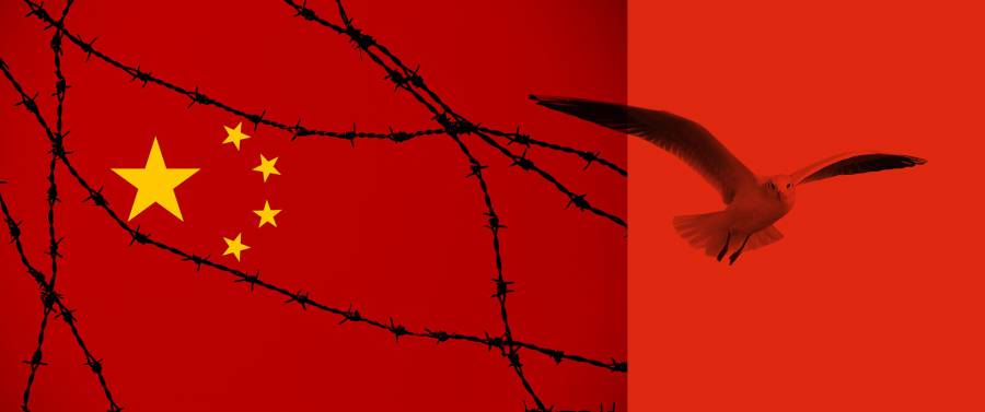 - Les eurodéputés continuent de condamner fermement les violations des droits de l'homme en Chine