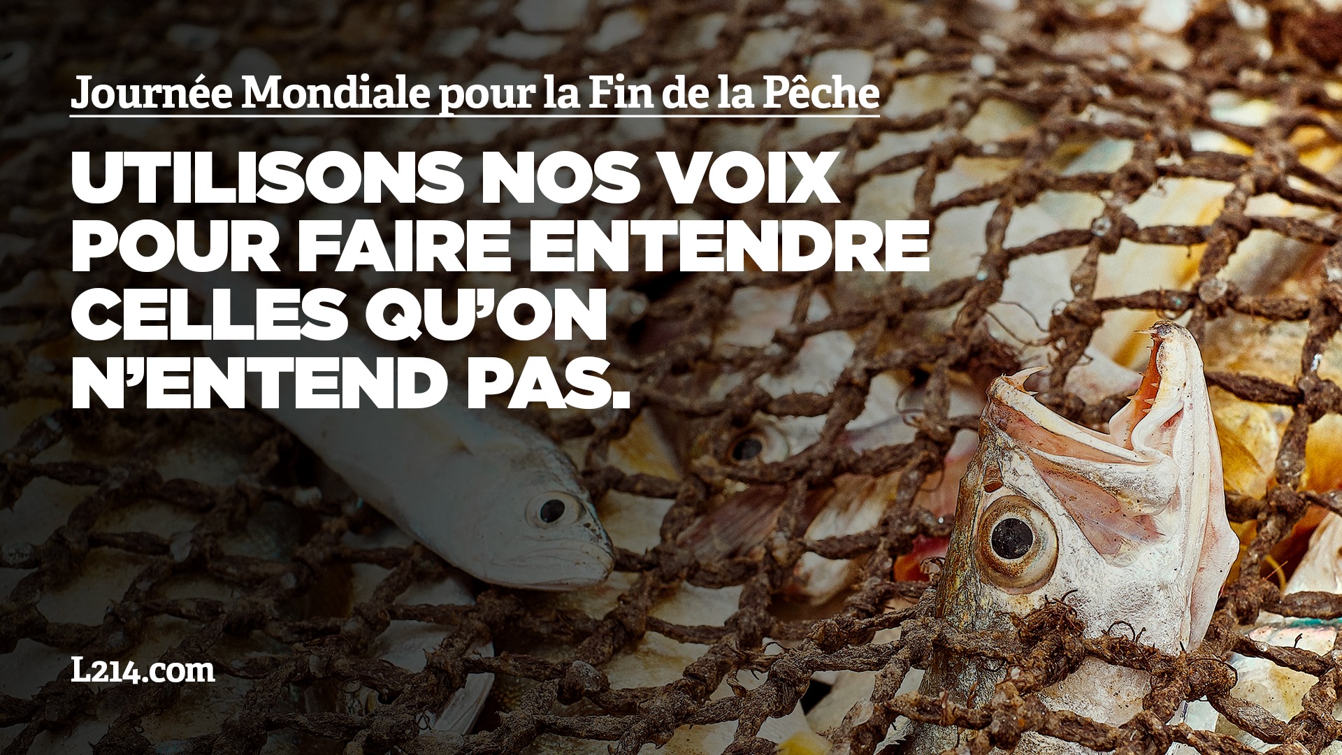 Montpellier - Manifestation à Montpellier pour défendre les poissons et les océans