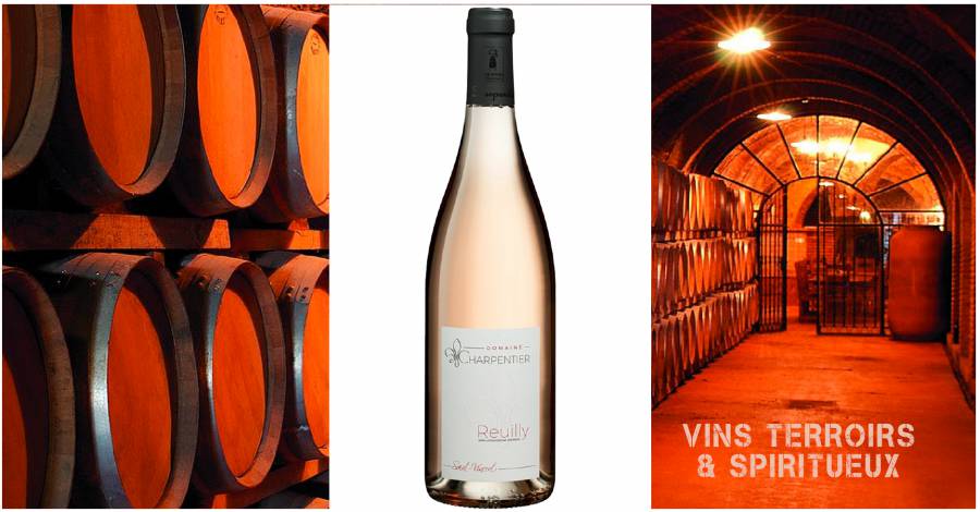 Domaine Charpentier - Cuvée Saint‐Vincent - Reuilly - Gris 2018