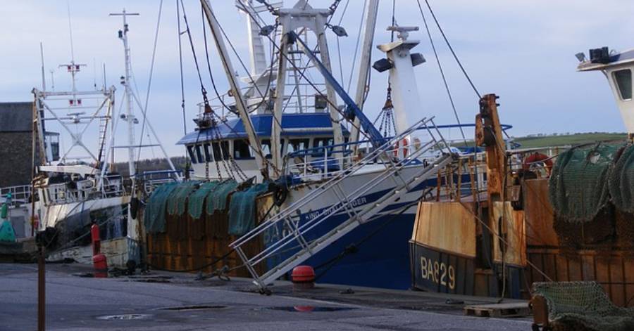 Occitanie - Pour soutenir la pêche en Occitanie, la Région adopte un plan de 4 M€