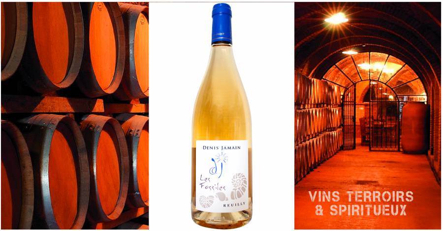 Domaine JAMAIN - Reuilly «Les Fossiles» Rosé 2020 - Quand le Pinot gris voit la vie en rose !