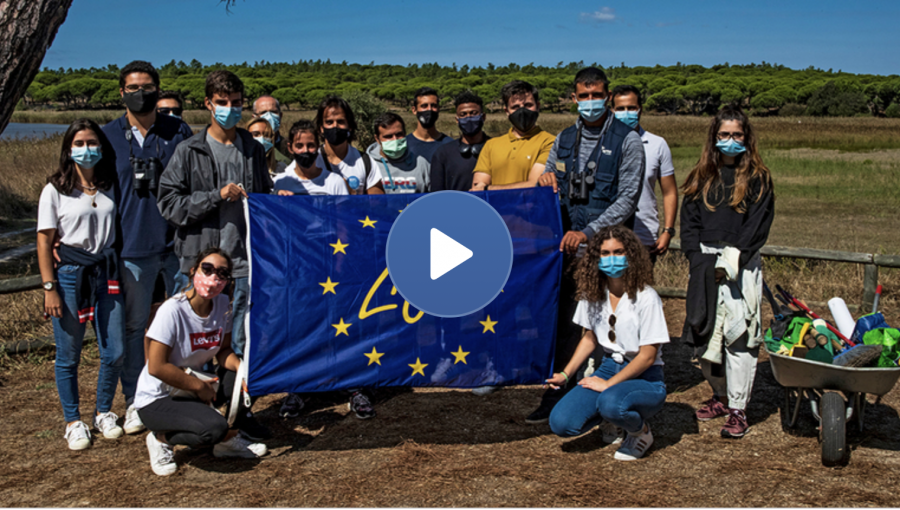 - Programme LIFE : davantage de soutien à l'action climatique