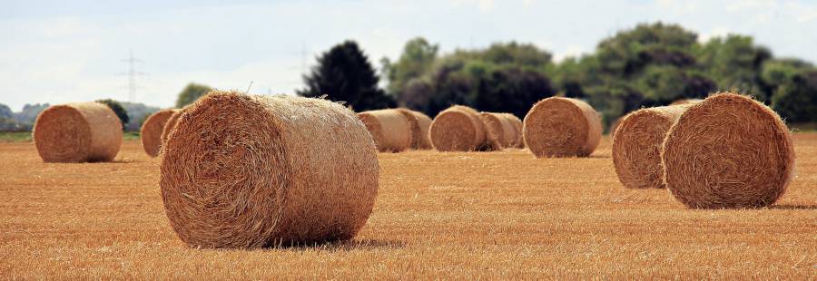 - Réforme de la politique agricole de l'Union Europeenne : accord entre le Parlement et le Conseil