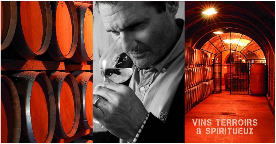 Iain MUNSON, œnologue et Master of Wine célèbre 15 ans de savoir-faire au service de MAISON JEANJEAN.
