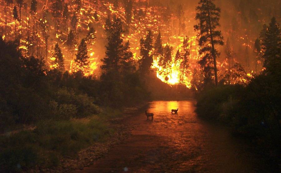 - Rapport sur le climat, Réforme du SEQE, Ajustement aux frontières carbone, catastrophes naturelles : débats