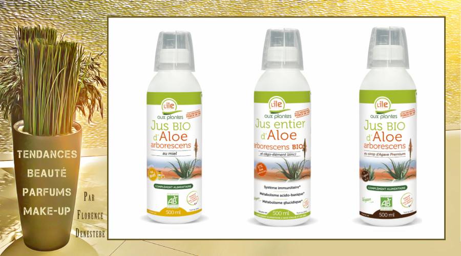 L'Ile aux plantes, le petit producteur bio et Made in France qui démocratise les bienfaits de l'Aloe arborescens