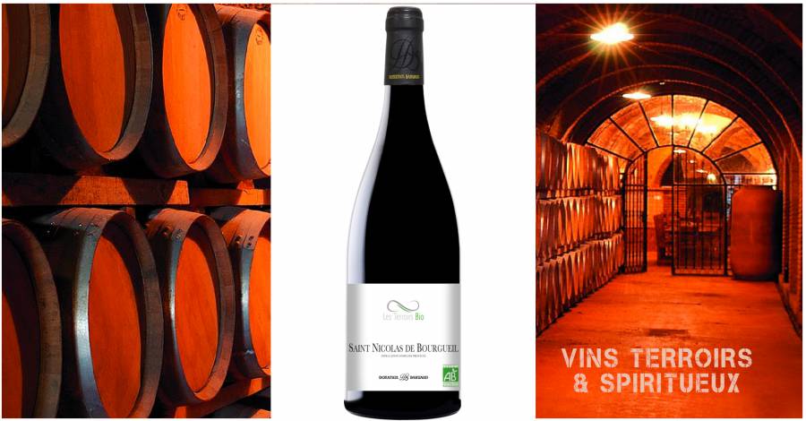 DONATIEN BAHUAUD - SAINT NICOLAS DE BOURGUEUIL - LES TERROIRS BIO
