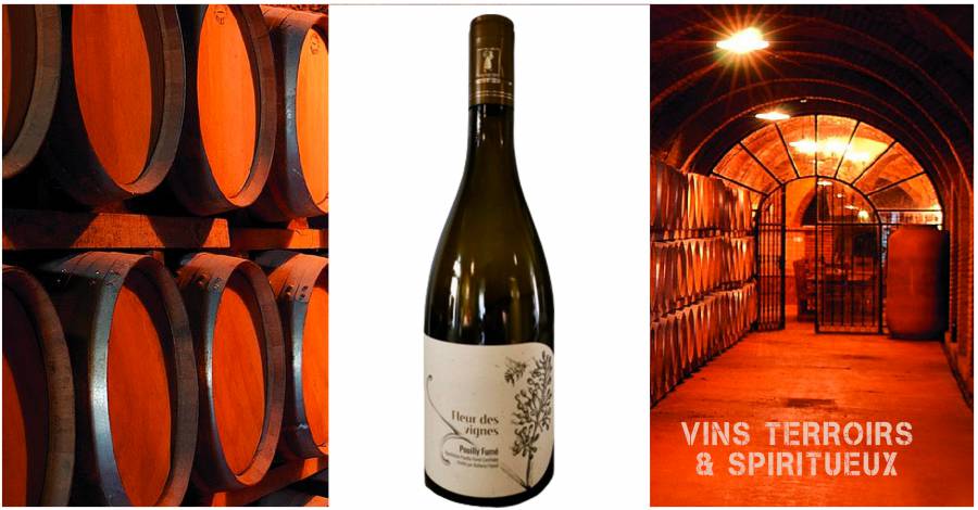 POUILLY FUMÉ - DOMINIQUE ET MALLORIE PABIOT - FLEUR DES VIGNES 2020