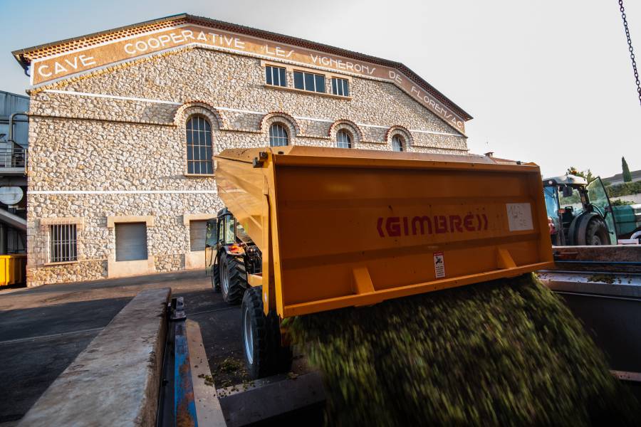 La cave de Florensac change de nom , s'engage et met le cap sur l'excellence