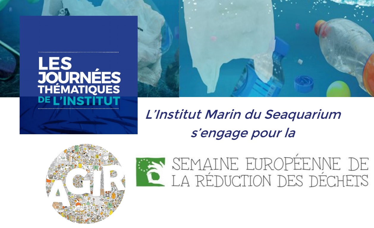 Le Grau du Roi - 3ème année de participation pour l'Institut Marin du Seaquarium à la SERD