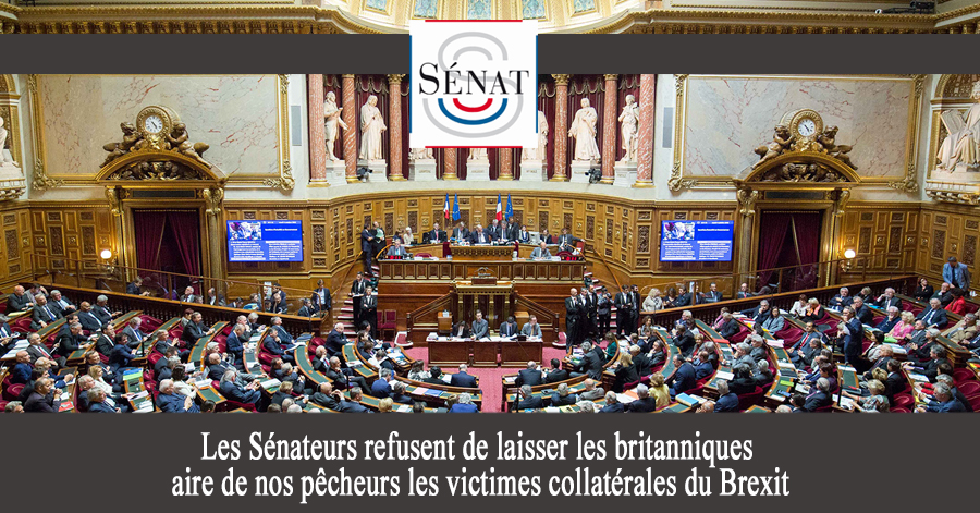 - Les Sénateurs refusent de laisser les britanniques faire de nos pêcheurs les victimes collatérales du Brexit