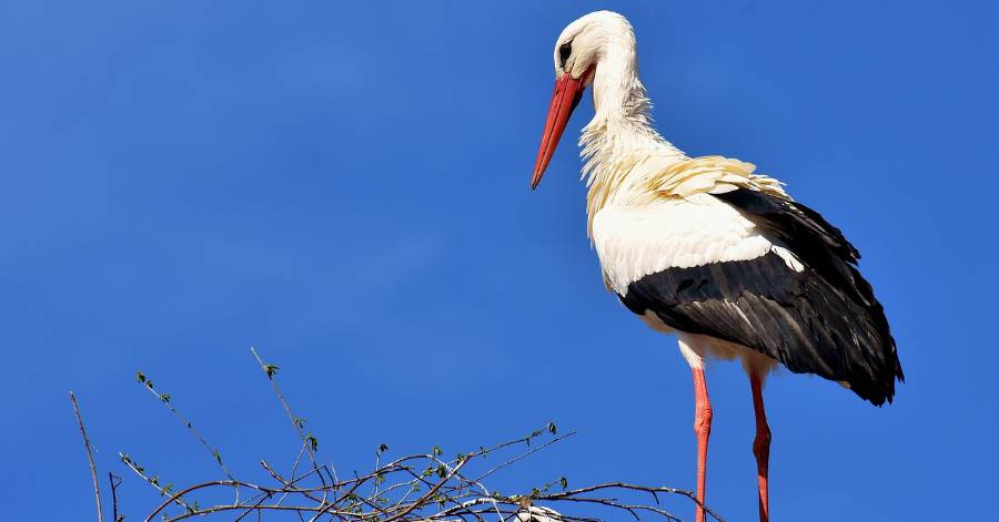 Portiragnes - Amis amoureux de la nature respectez la réglementation