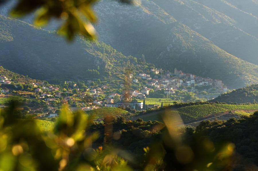 Double récompense pour la Cave de Roquebrun
