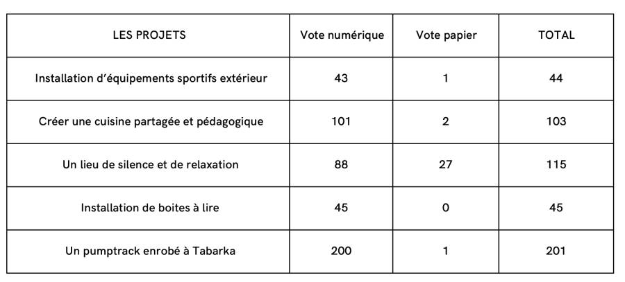 Marseillan - Résultats des votes du budget participatif  : C'est le Pumptrack qui gagne !