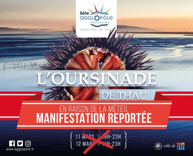 Sète L'Oursinade de Thau sera enfin de retour les dates