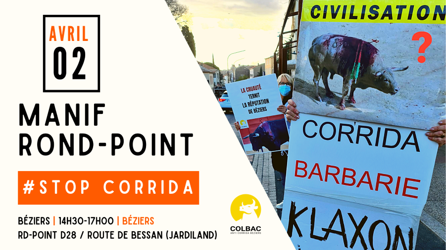 Béziers - Anti-corrida : une question écrite au gouvernement et une manifestation à Béziers