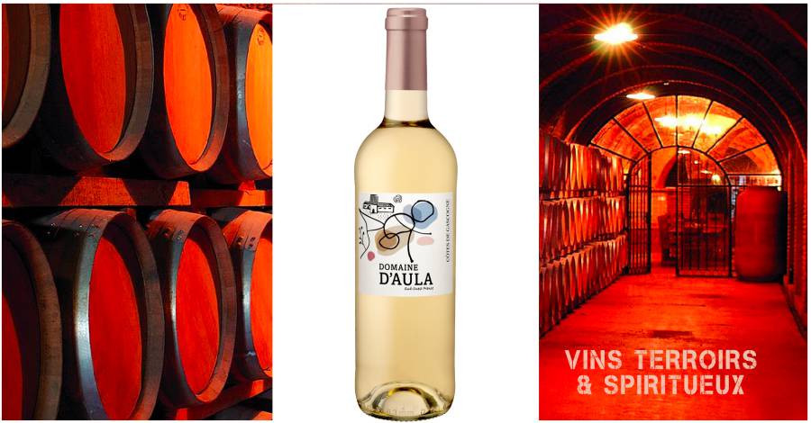 DOMAINE D'AULA SUD OUEST-FRANCE : BLANC MOELLEUX