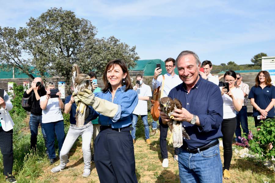 Hérault - Visite au centre régional de sauvegarde de la faune sauvage à Villeveyrac dans l'Hérault