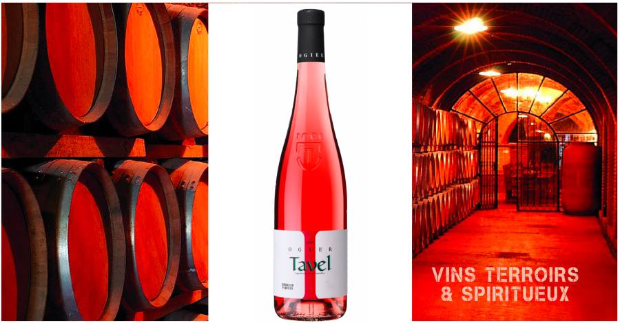 Fête des pères - Tavel - Ogier Cuvée Singuliers Pluriels 2021