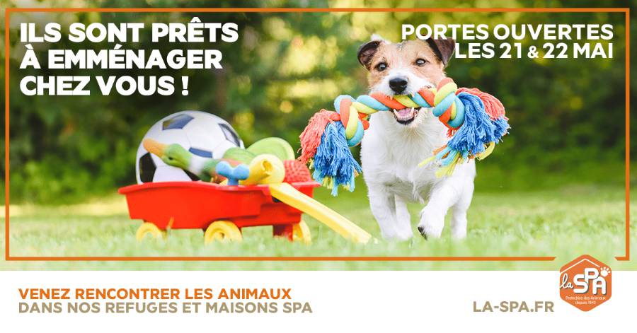 Hérault - La Société Protectrice des Animaux ouvre le week-end des 21 et 22 mai !