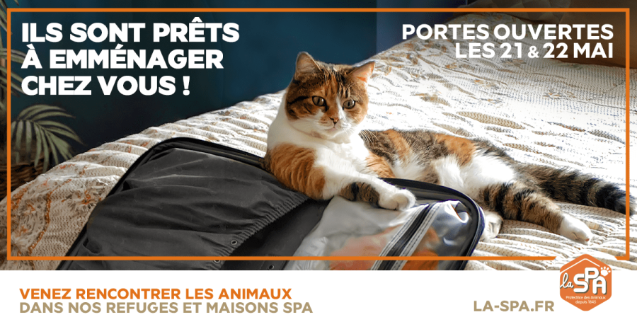 Hérault - La Société Protectrice des Animaux ouvre le week-end des 21 et 22 mai !