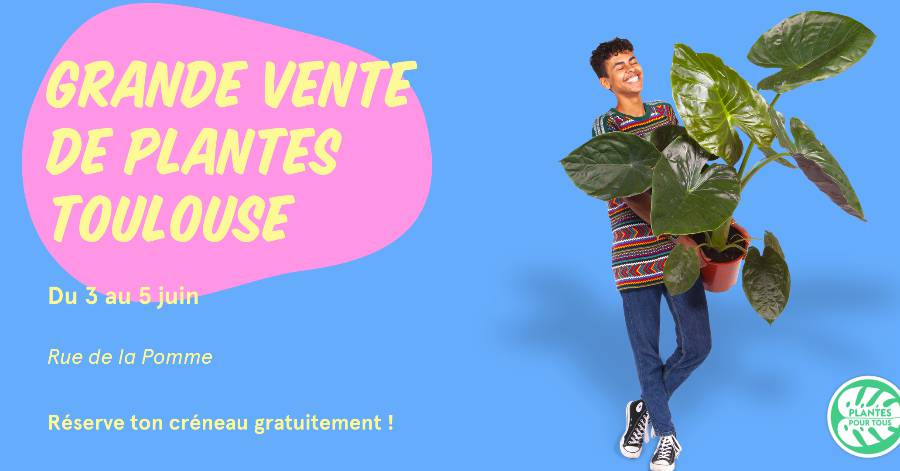 Toulouse - Plantes Pour Tous est de retour à Toulouse pour proposer de jolies plantes à prix mini !