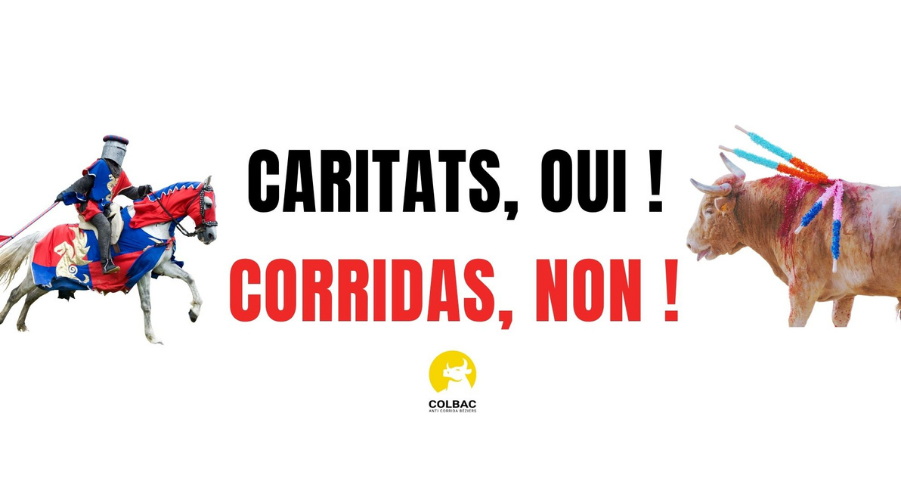 Béziers - Pour le Colbac : Caritats, oui - Corridas, non !