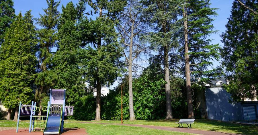 Lourdes - Un cèdre malade du jardin de l'You menace l'aire de jeux et doit être retiré
