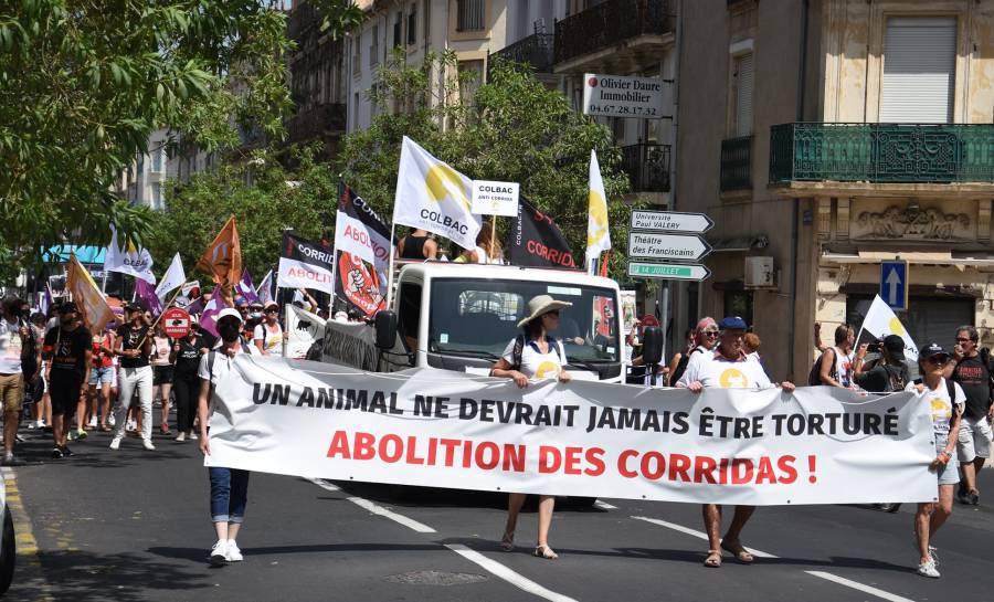 Boujan-sur-Libron - Manifestation devant les arènes pour dénoncer la cruauté des novilladas