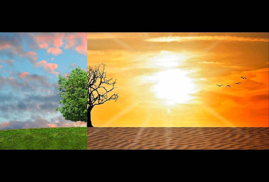 - Déclaration du Secrétaire général de l'OCDE sur les tendances du financement climatique observées jusqu'en 2020