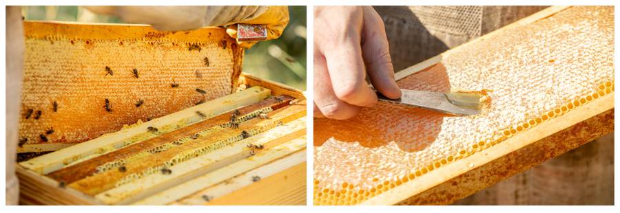 Padirac : le 1er miel d'exception, made in gouffre de padirac disponible à l'épicerie fine