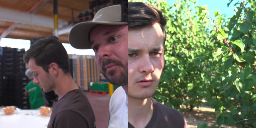 Beaucaire - ( 30 ) CAPITAL : Paul et Benjamin sont les gérants de l'entreprise familiale Nectapeche