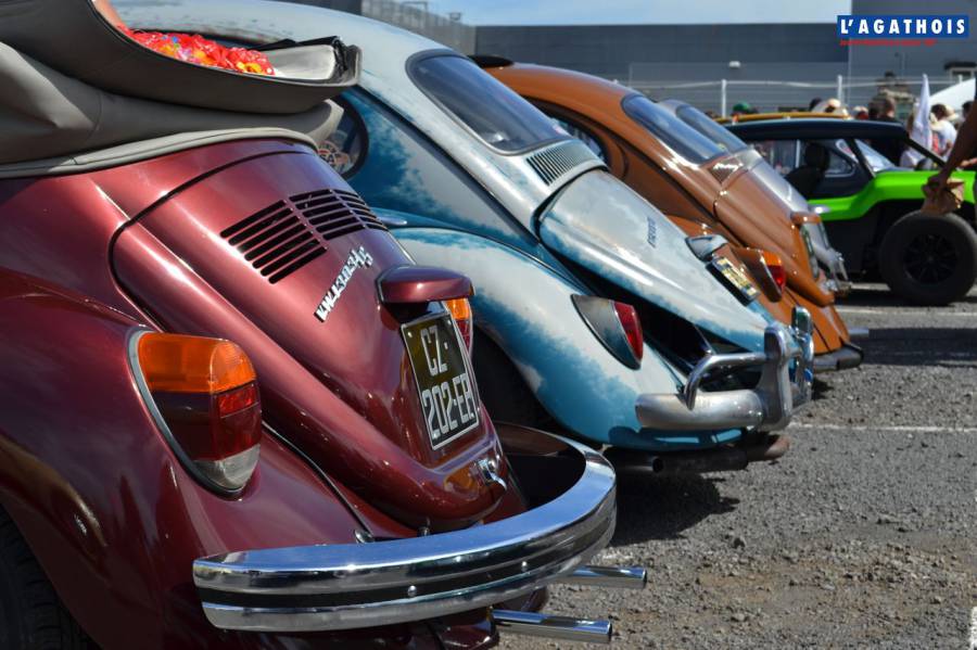 Cap d'Agde - Premieres photos : Une nuée de coccinelles pour le Rassemblement VW COX TOUJOURS