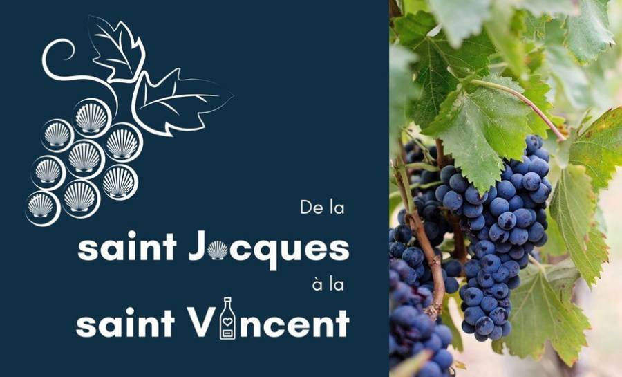 Aveyron - Conférence-dégustation à la Maison de la vigne, du vin et des paysages d'Estaing