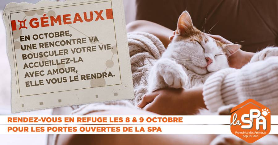 France - Les Portes Ouvertes adoption de la SPA les 8 et 9 octobre