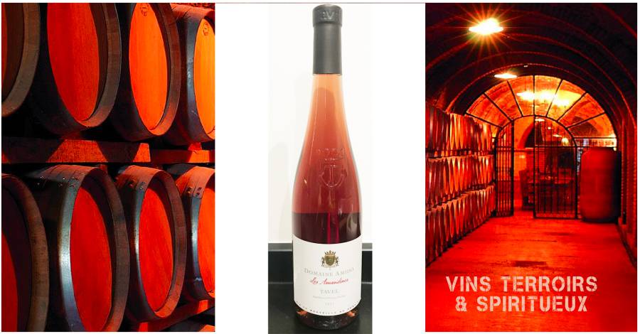 Domaine Amido Tavel - « Les Amandines » 2021