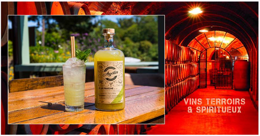 Argotier : des cocktails prêts à boire haut de gamme et écoresponsables