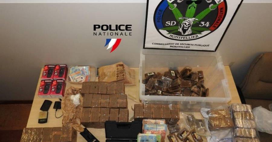 Montpellier - Le flair du chien de la brigade anti stups fait mouche - 30 kg  de cannabis saisis et 13 200 €